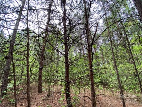 00 Sunrise Trail Lincolnton NC 28092