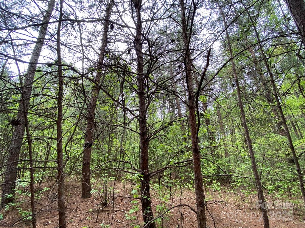 00 Sunrise Trail Lincolnton NC 28092
