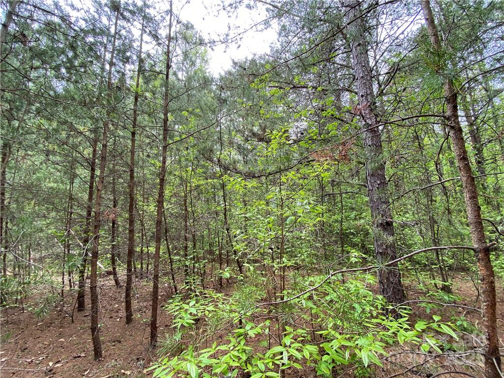 00 Sunrise Trail Lincolnton NC 28092