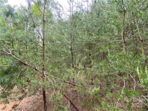 00 Sunrise Trail Lincolnton NC 28092