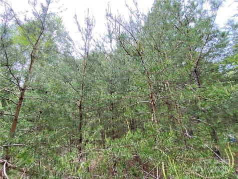 00 Sunrise Trail Lincolnton NC 28092