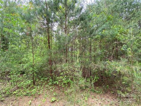 00 Sunrise Trail Lincolnton NC 28092