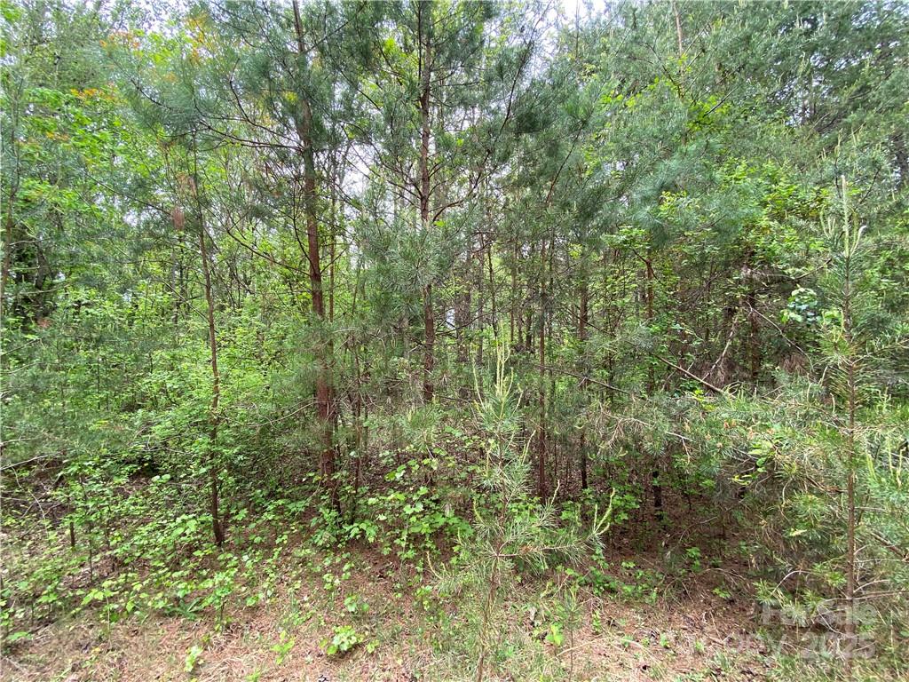 00 Sunrise Trail Lincolnton NC 28092