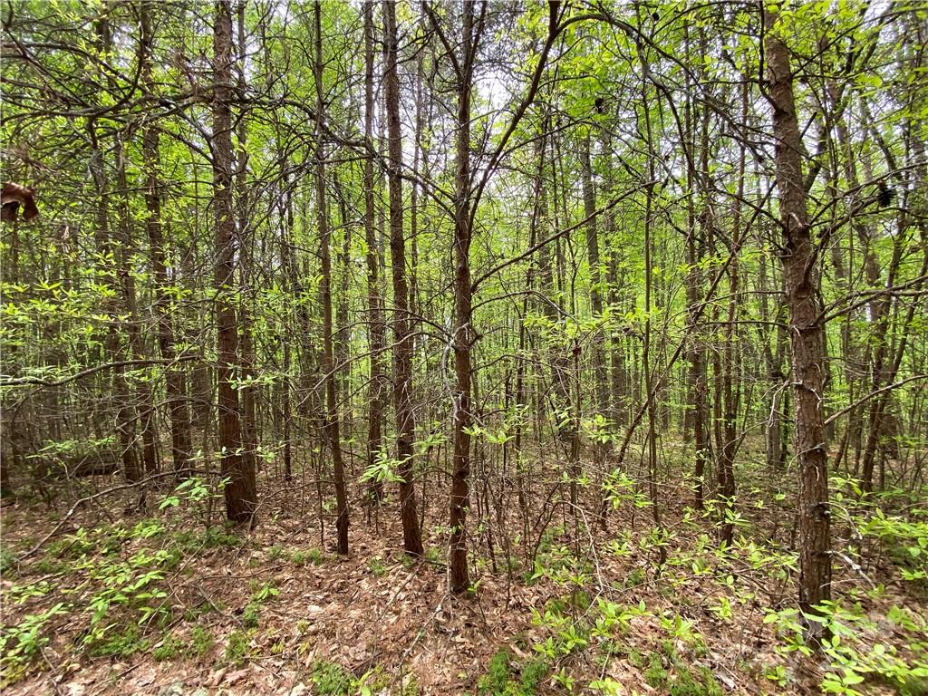 00 Sunrise Trail Lincolnton NC 28092