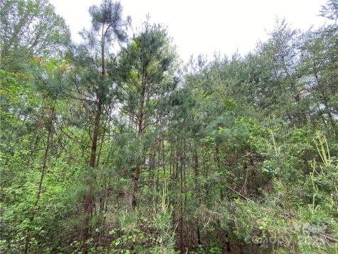 00 Sunrise Trail Lincolnton NC 28092