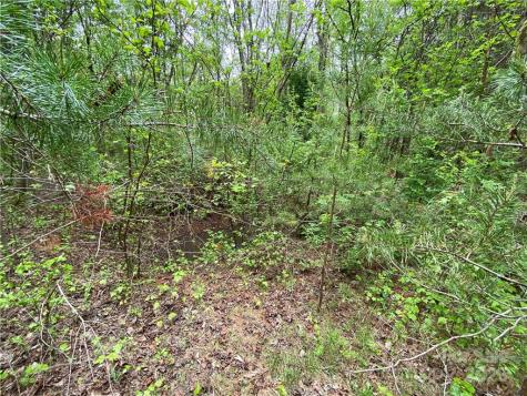 00 Sunrise Trail Lincolnton NC 28092