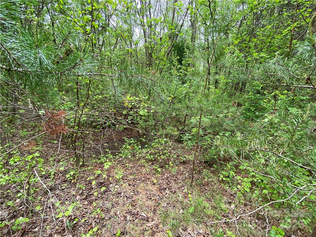 00 Sunrise Trail Lincolnton NC 28092