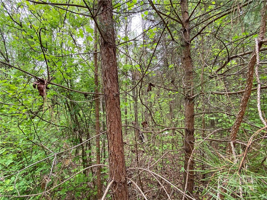 00 Sunrise Trail Lincolnton NC 28092