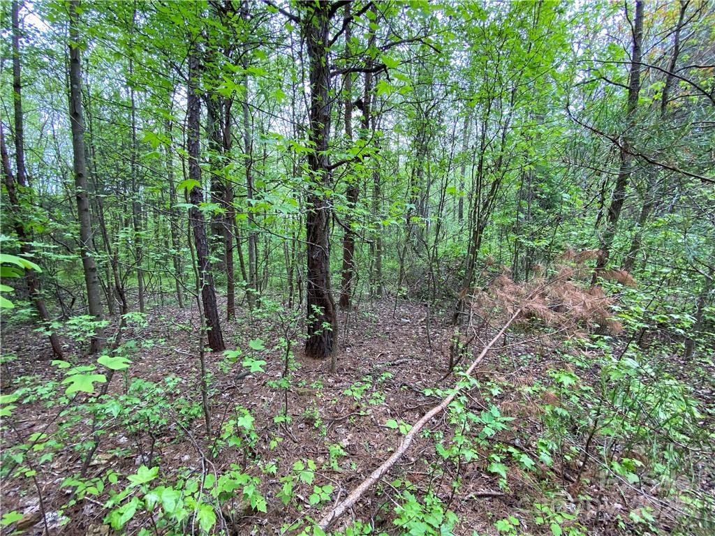 00 Sunrise Trail Lincolnton NC 28092