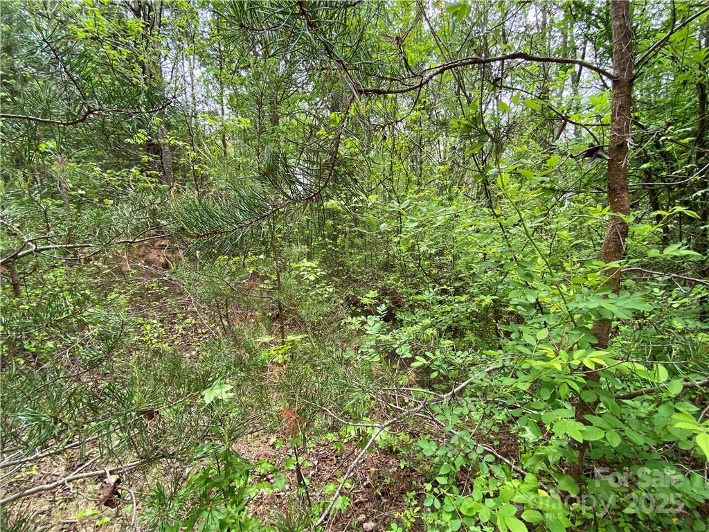 00 Sunrise Trail Lincolnton NC 28092
