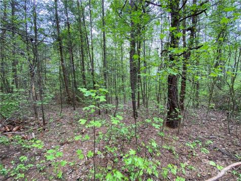 00 Sunrise Trail Lincolnton NC 28092