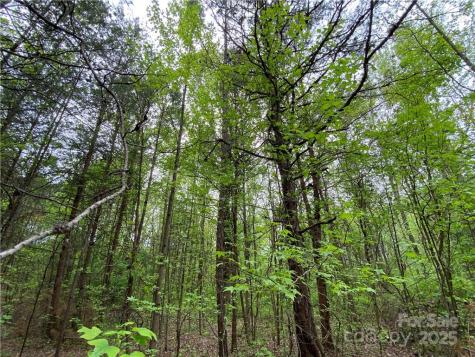 00 Sunrise Trail Lincolnton NC 28092