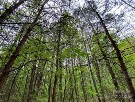 00 Sunrise Trail Lincolnton NC 28092