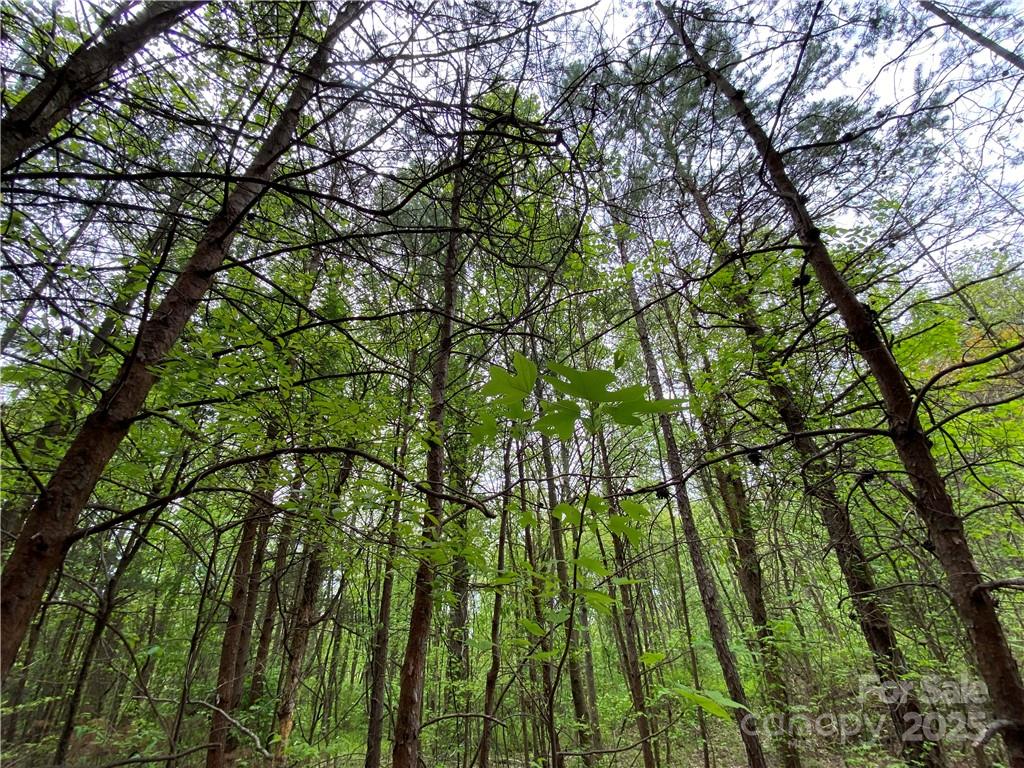 00 Sunrise Trail Lincolnton NC 28092