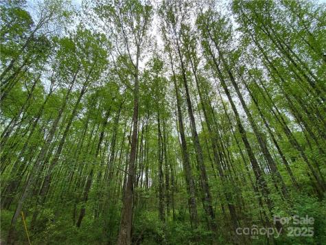 00 Sunrise Trail Lincolnton NC 28092