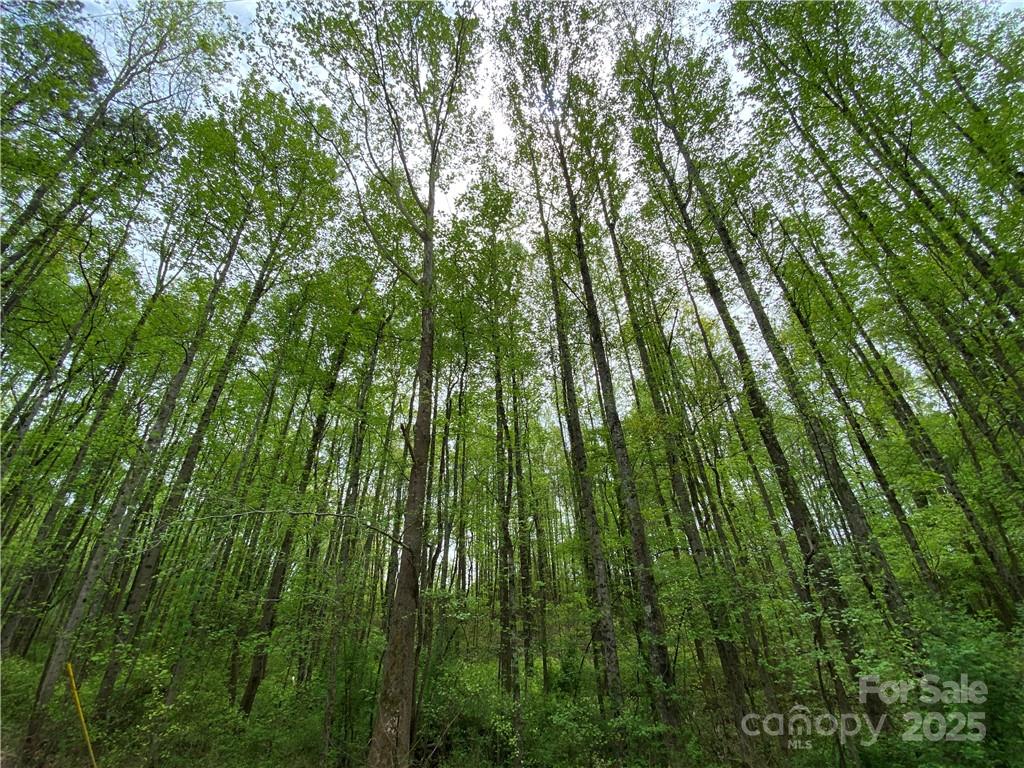 00 Sunrise Trail Lincolnton NC 28092