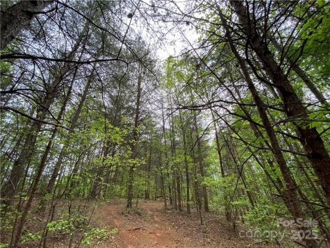 00 Sunrise Trail Lincolnton NC 28092