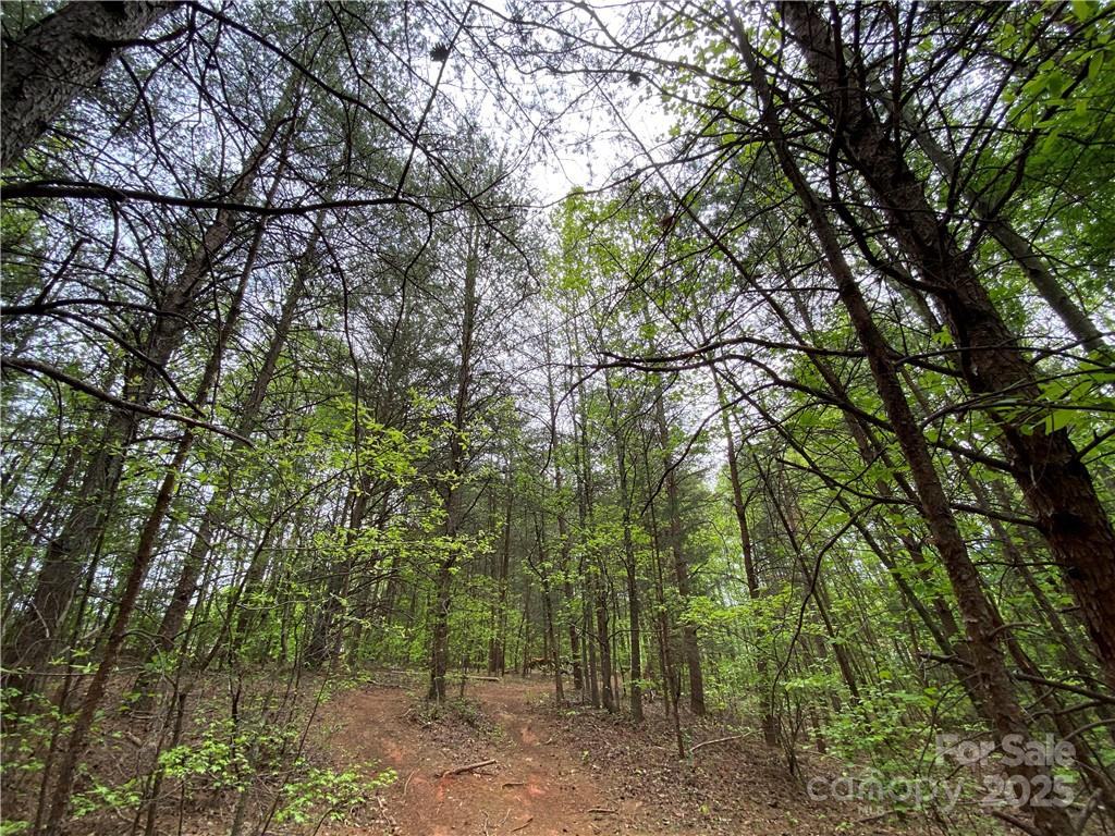 00 Sunrise Trail Lincolnton NC 28092