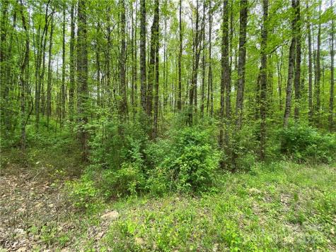 00 Sunrise Trail Lincolnton NC 28092