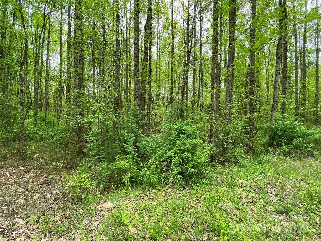 00 Sunrise Trail Lincolnton NC 28092