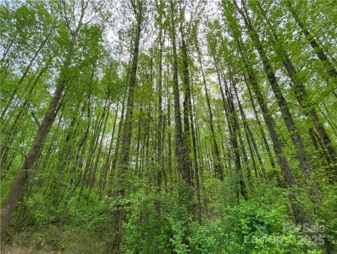 00 Sunrise Trail Lincolnton NC 28092