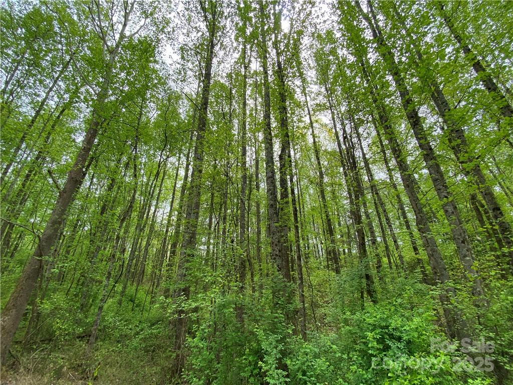 00 Sunrise Trail Lincolnton NC 28092