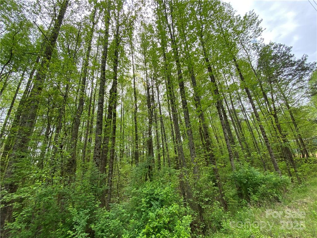 00 Sunrise Trail Lincolnton NC 28092
