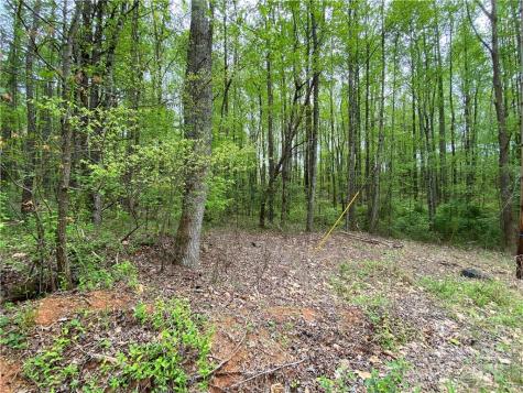 00 Sunrise Trail Lincolnton NC 28092