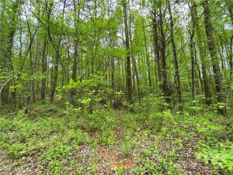 00 Sunrise Trail Lincolnton NC 28092