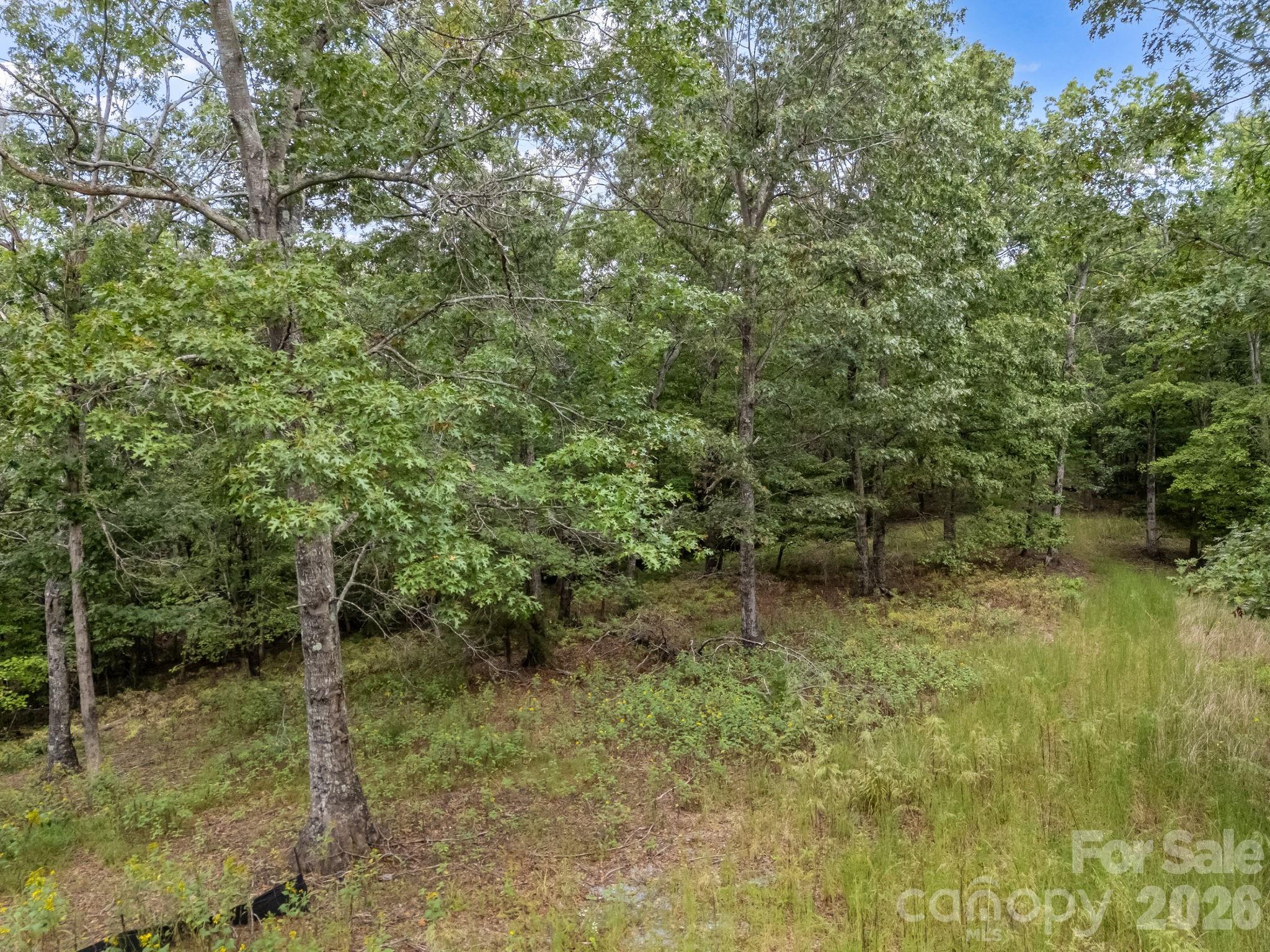 Tbd N Highland Farms Road Mill Spring NC 28756
