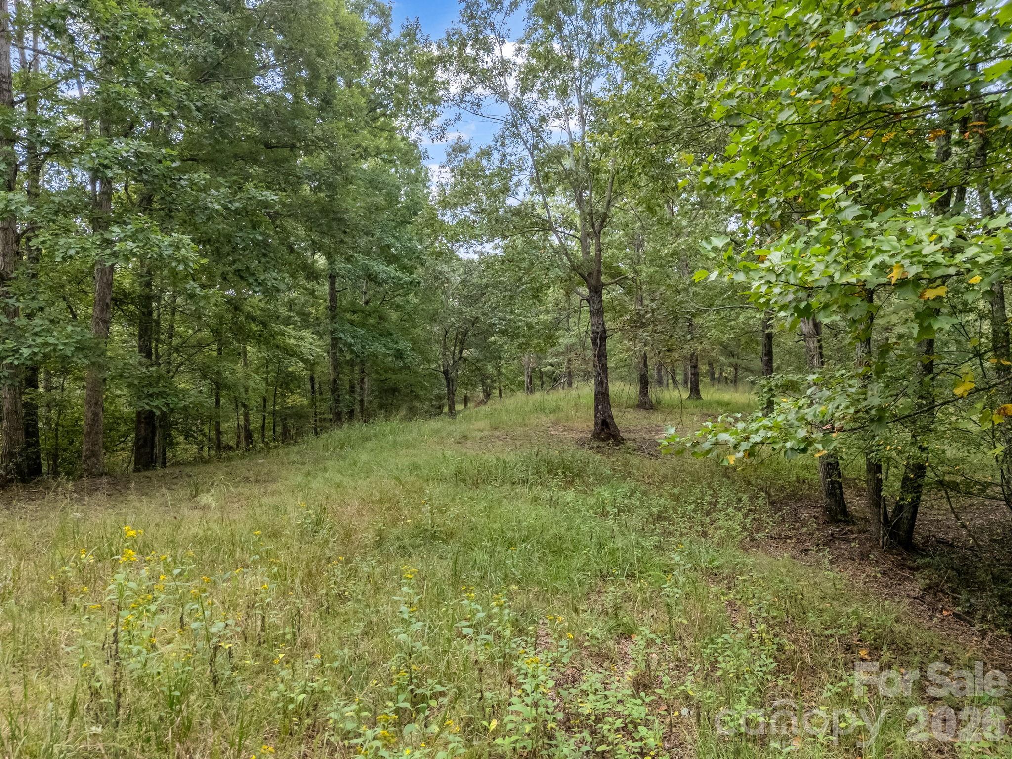 Tbd N Highland Farms Road Mill Spring NC 28756