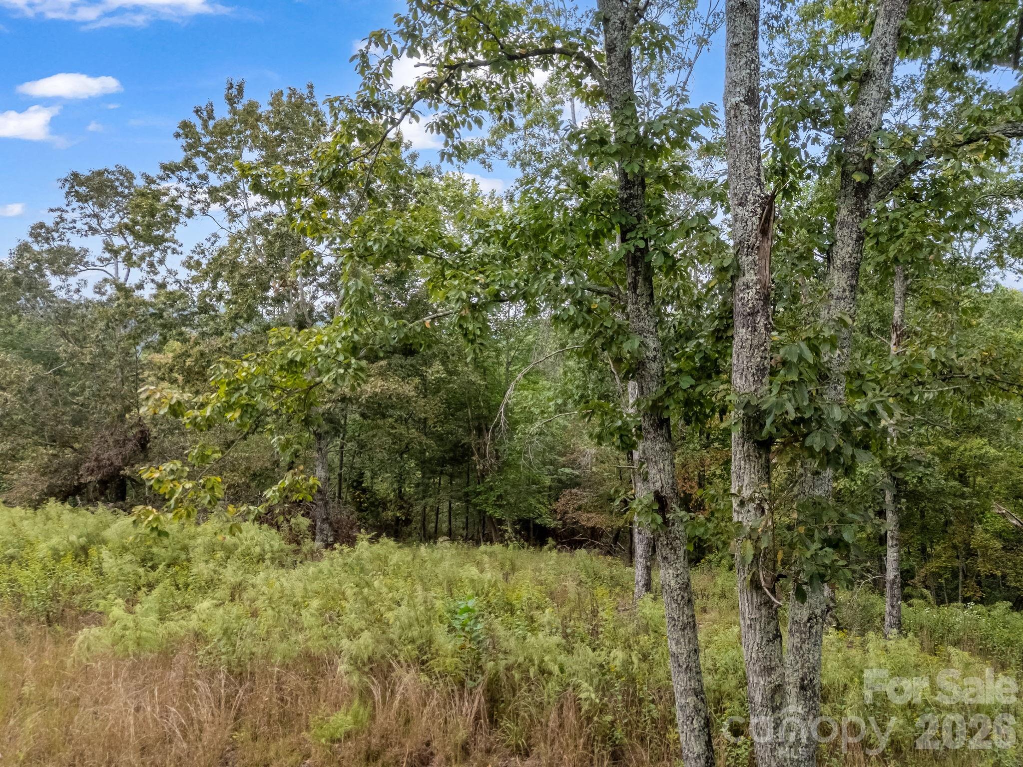 Tbd N Highland Farms Road Mill Spring NC 28756