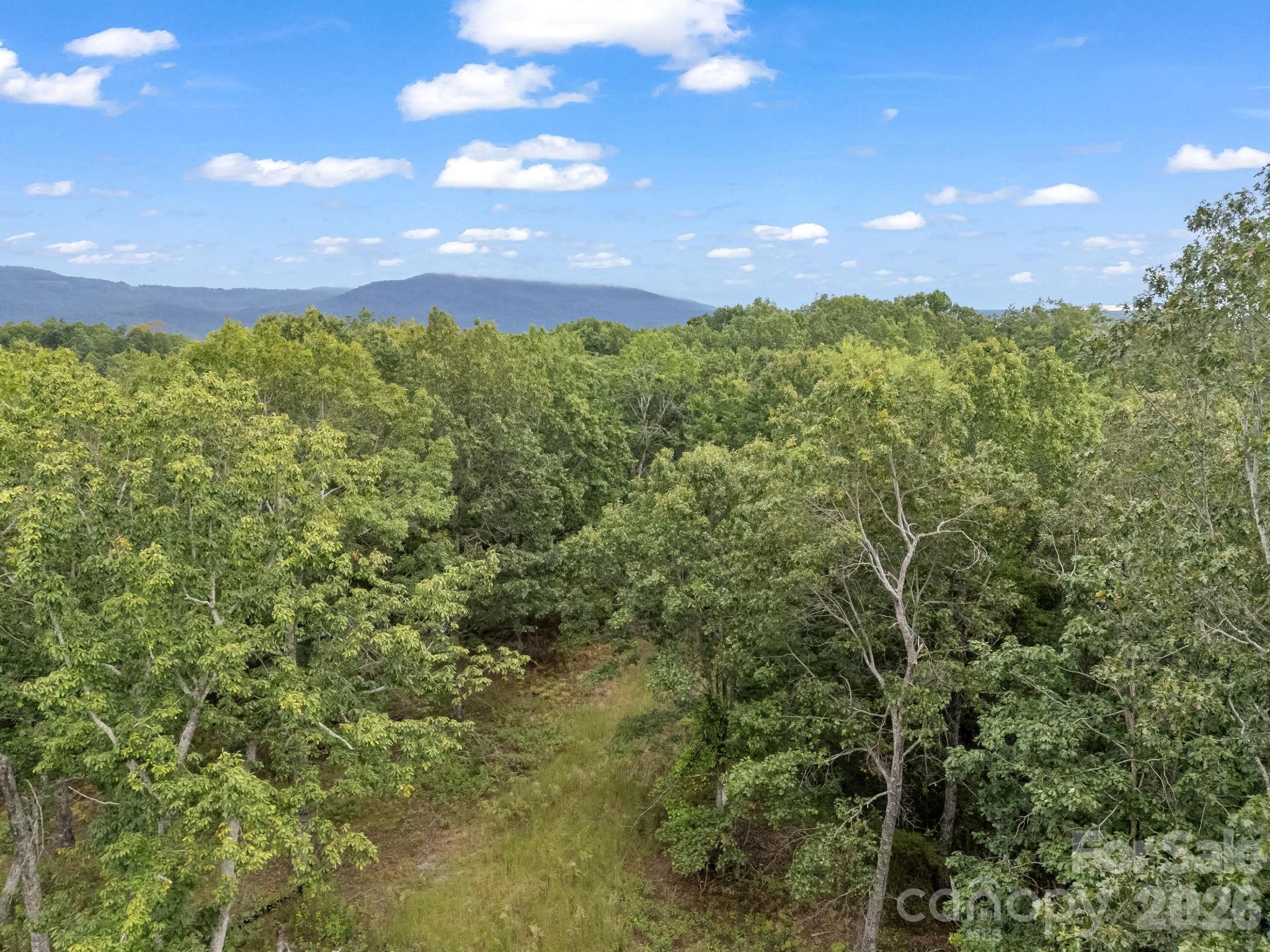 Tbd N Highland Farms Road Mill Spring NC 28756