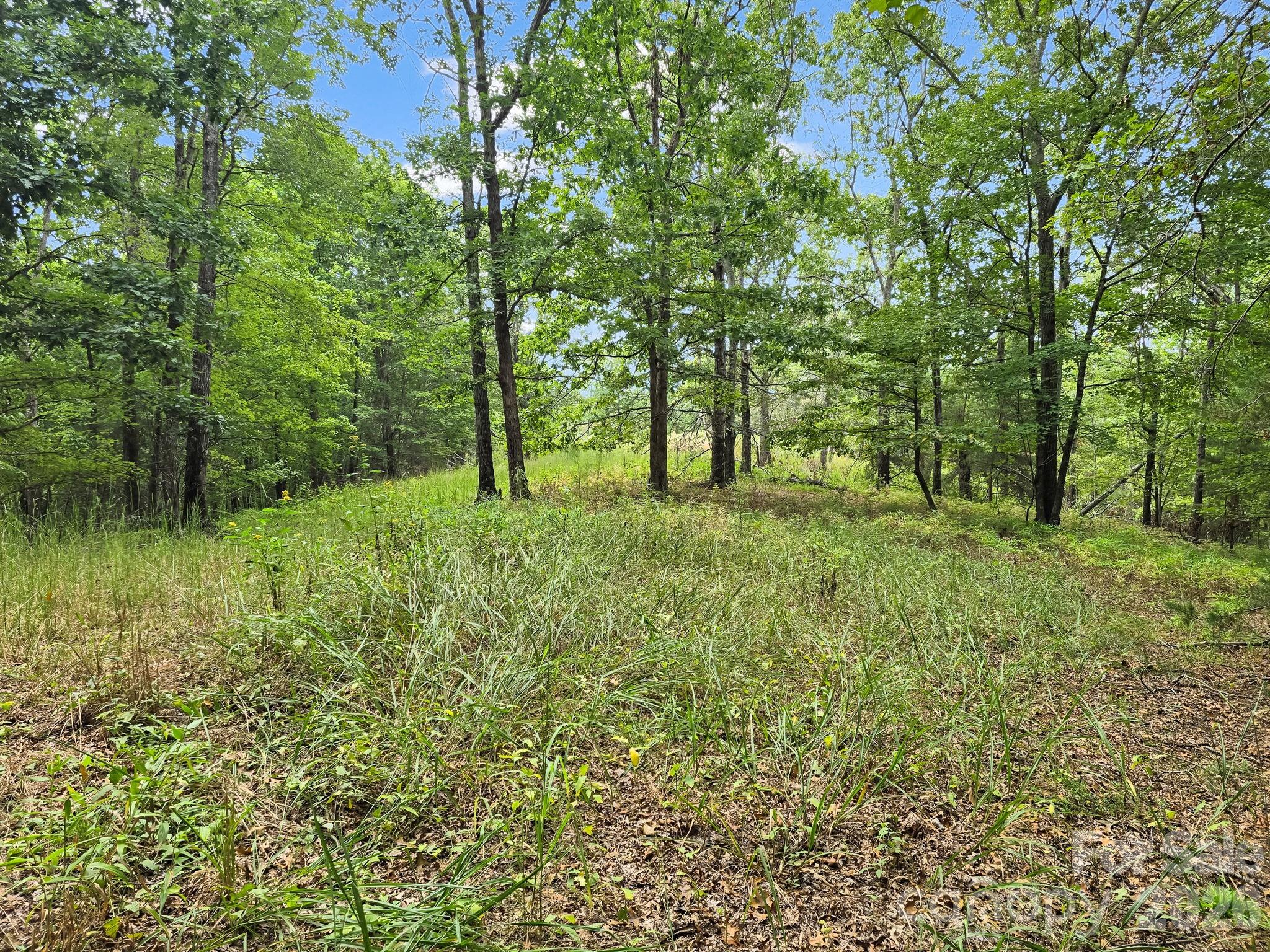 Tbd N Highland Farms Road Mill Spring NC 28756
