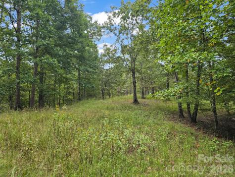 Tbd N Highland Farms Road Mill Spring NC 28756