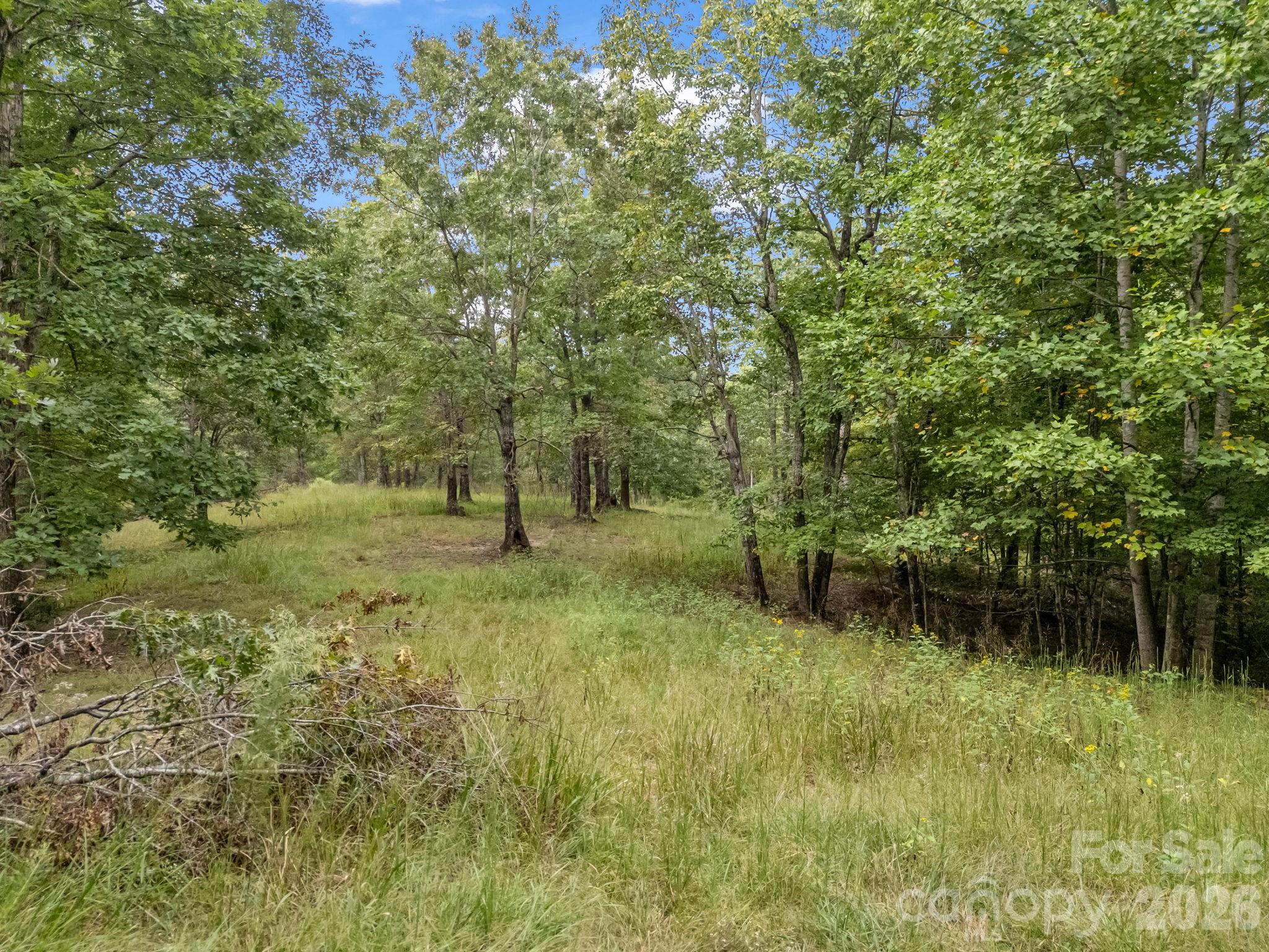 Tbd N Highland Farms Road Mill Spring NC 28756