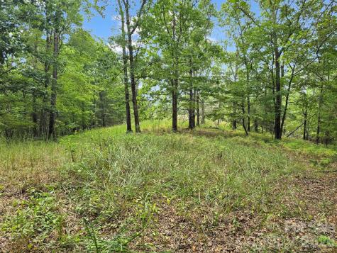 Tbd N Highland Farms Road Mill Spring NC 28756