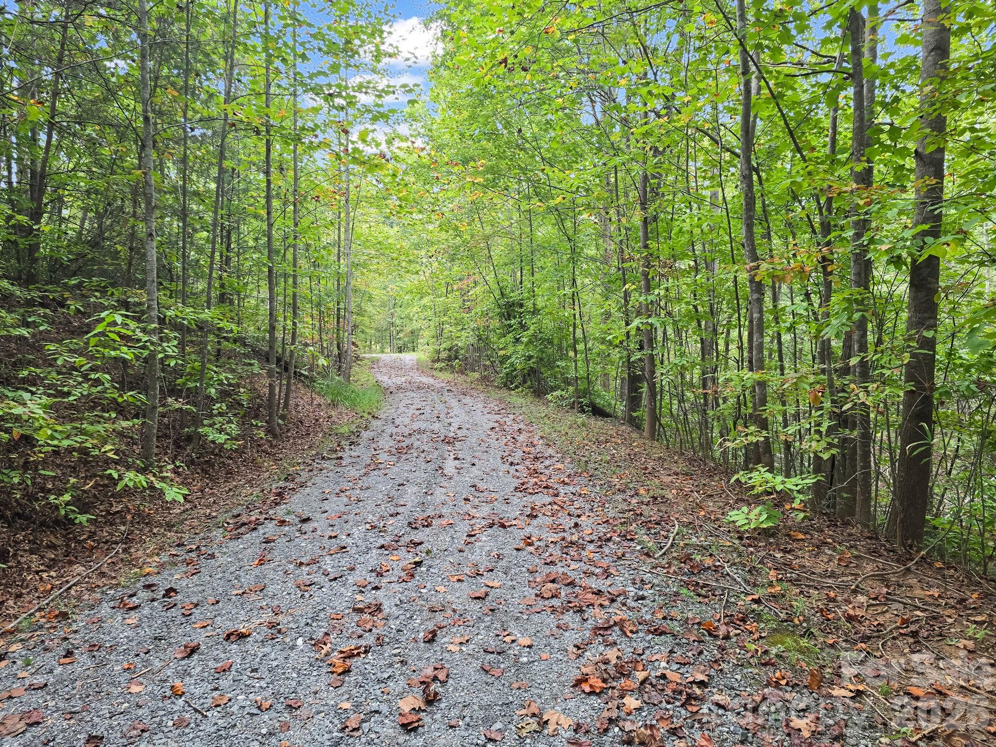 Tbd N Highland Farms Road Mill Spring NC 28756