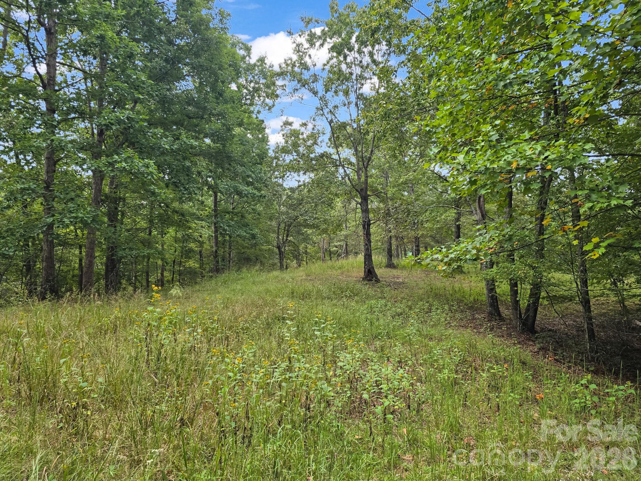Tbd N Highland Farms Road Mill Spring NC 28756