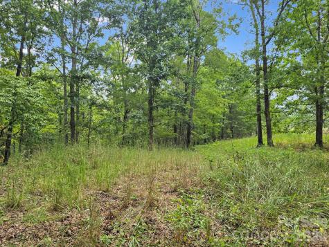 Tbd N Highland Farms Road Mill Spring NC 28756