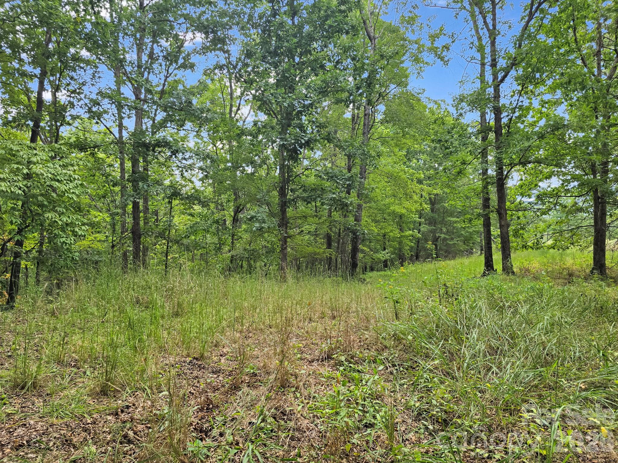 Tbd N Highland Farms Road Mill Spring NC 28756