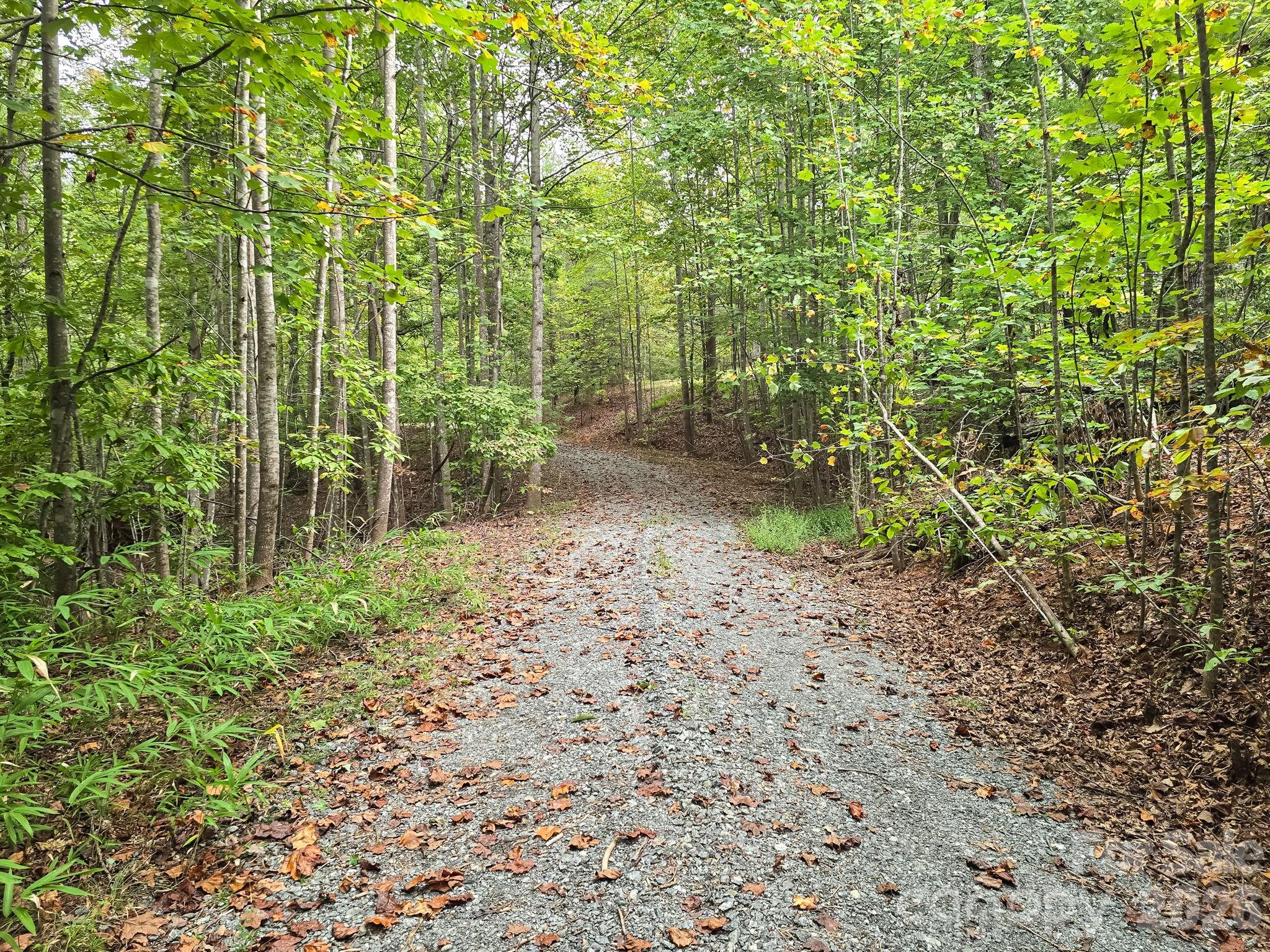 Tbd N Highland Farms Road Mill Spring NC 28756
