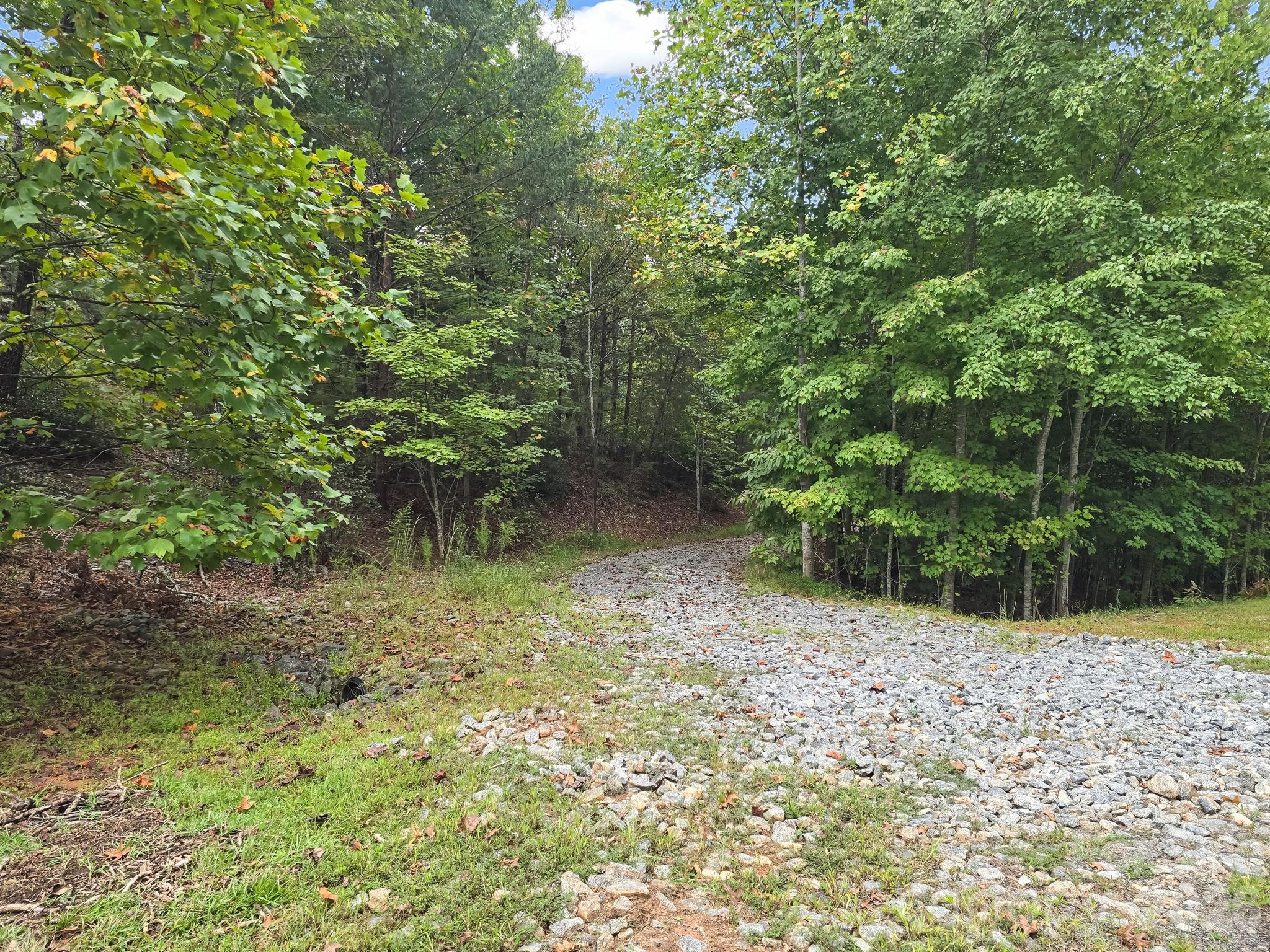 Tbd N Highland Farms Road Mill Spring NC 28756