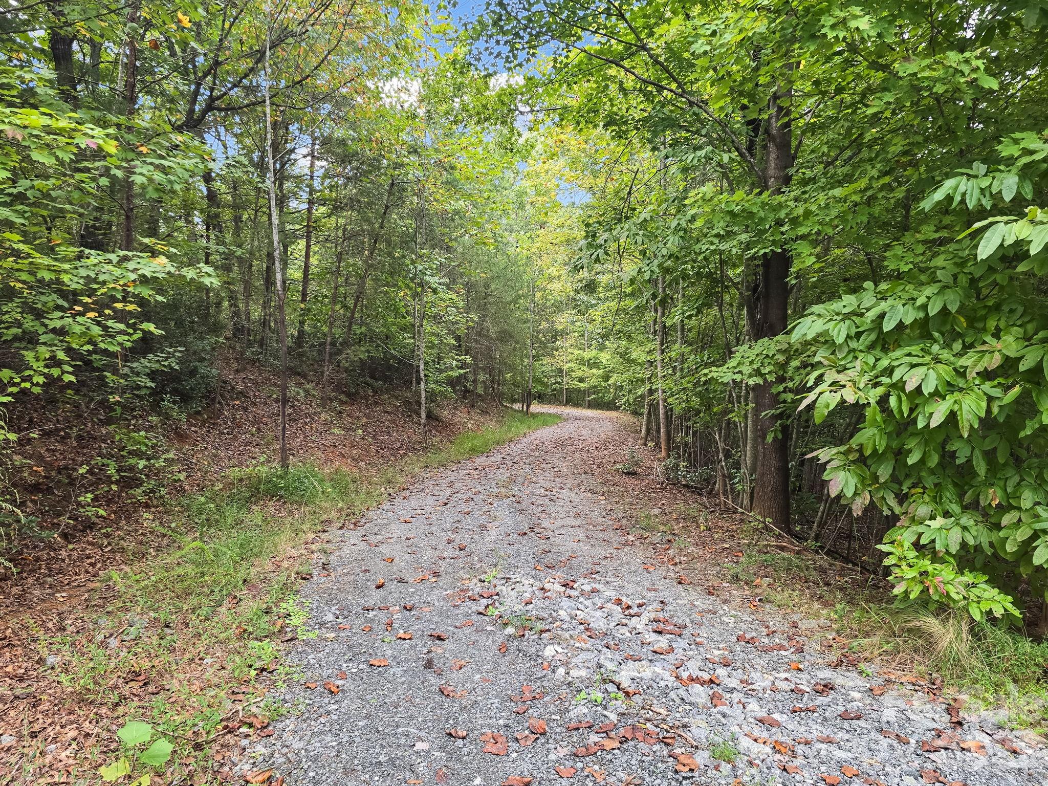 Tbd N Highland Farms Road Mill Spring NC 28756