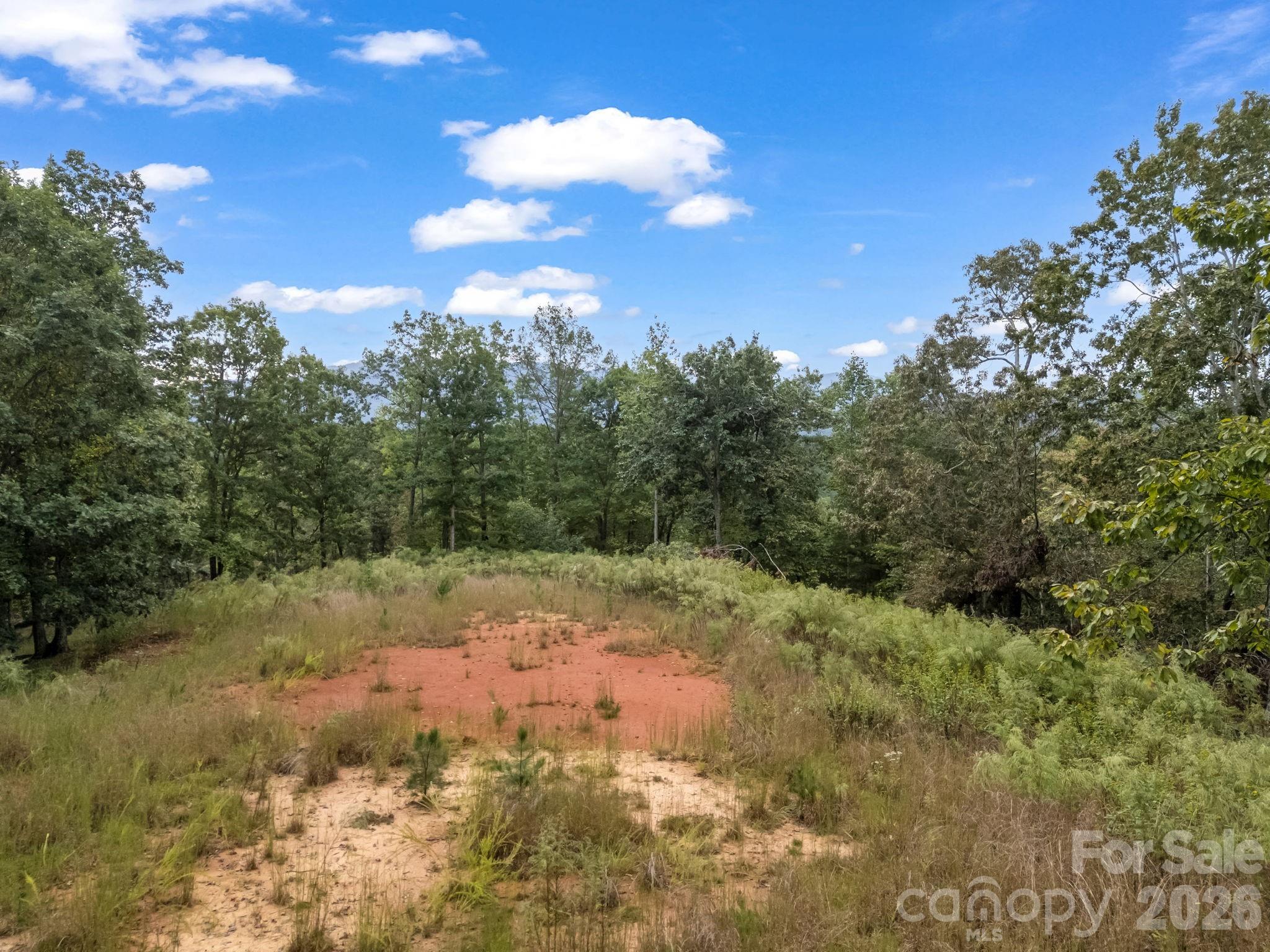 Tbd N Highland Farms Road Mill Spring NC 28756