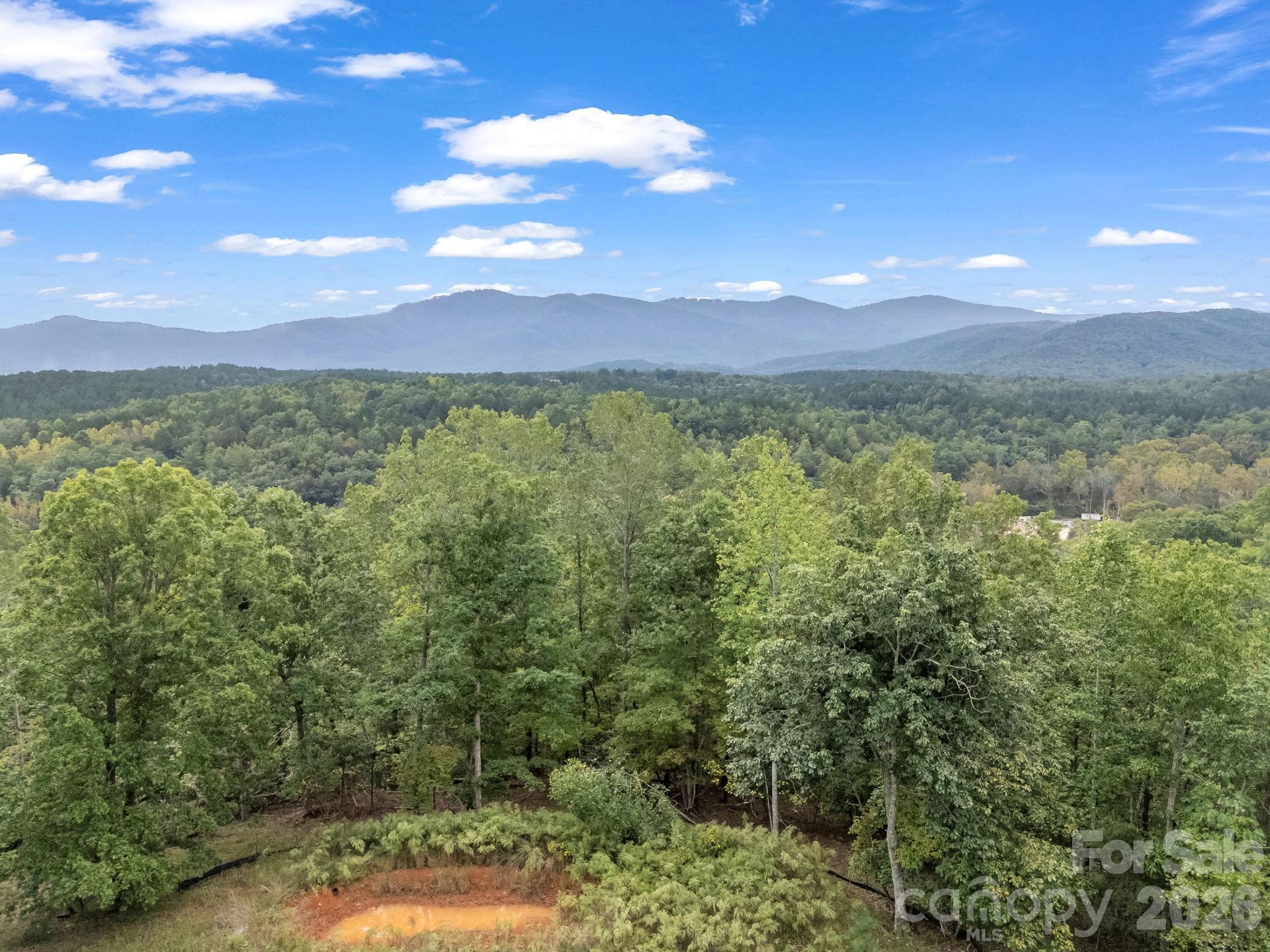 Tbd N Highland Farms Road Mill Spring NC 28756