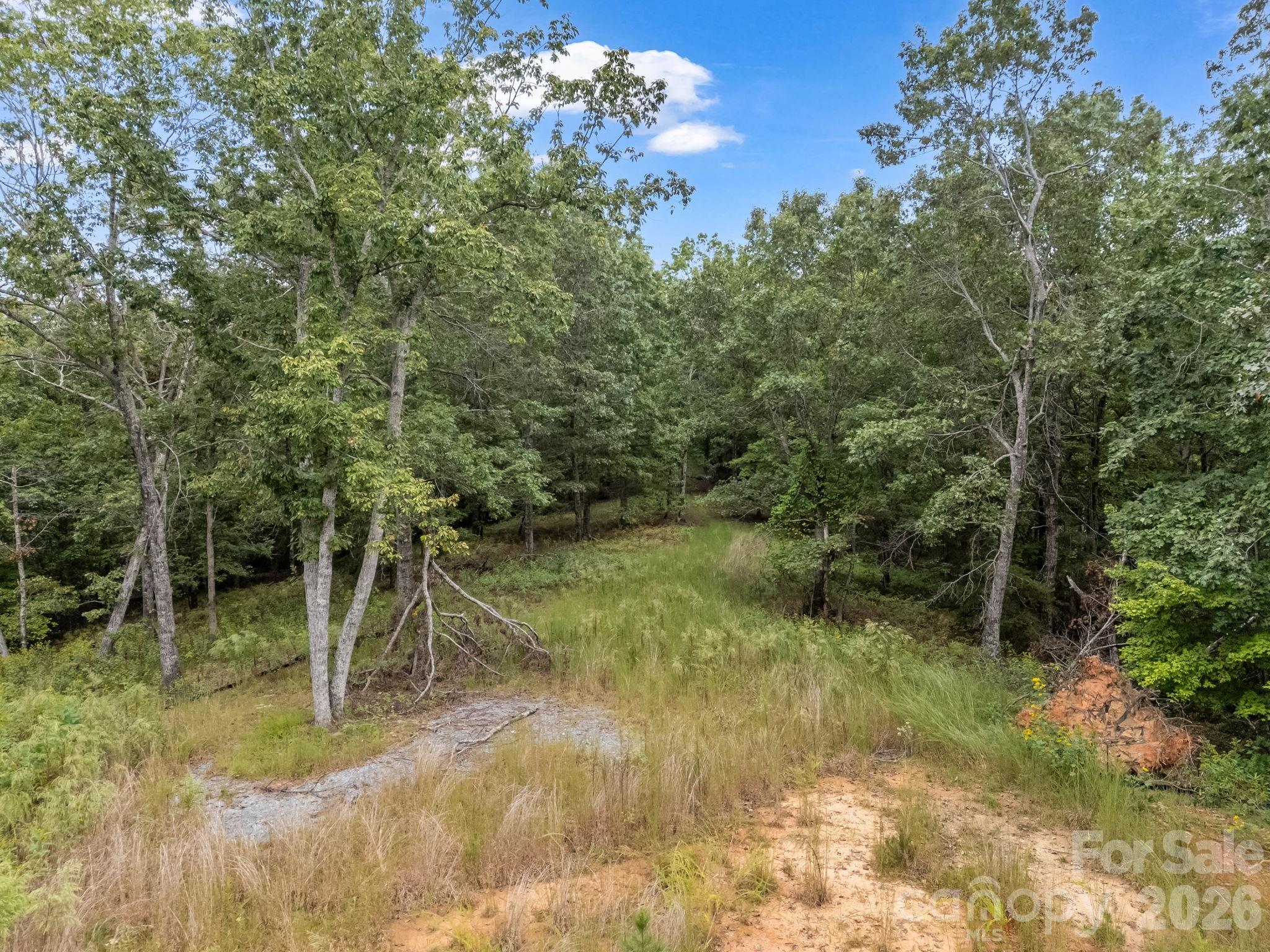 Tbd N Highland Farms Road Mill Spring NC 28756