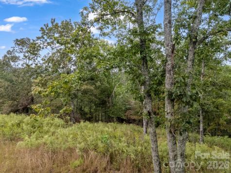 Tbd N Highland Farms Road Mill Spring NC 28756