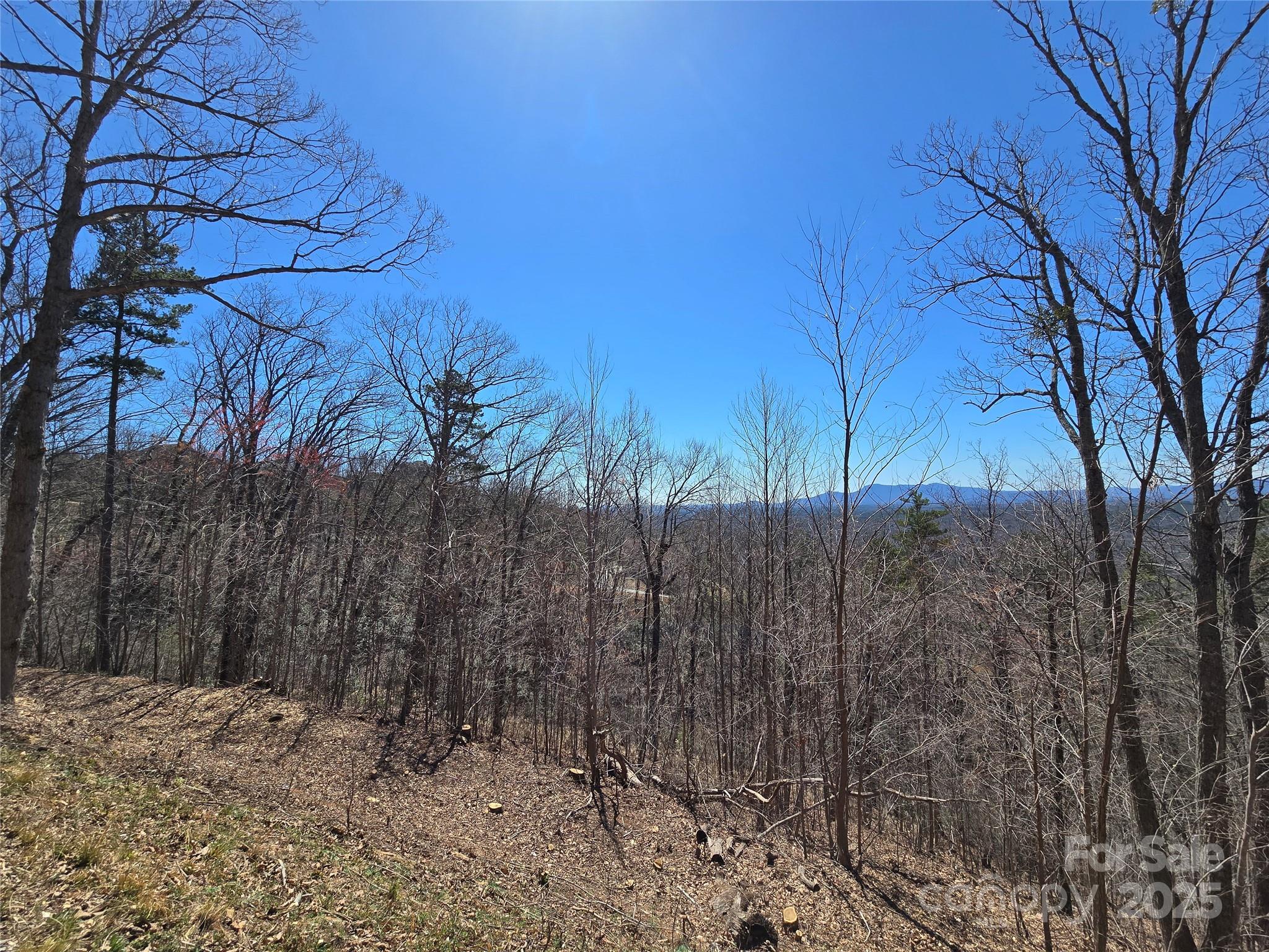 00 Golden Ridge Drive Lake Lure NC 28746