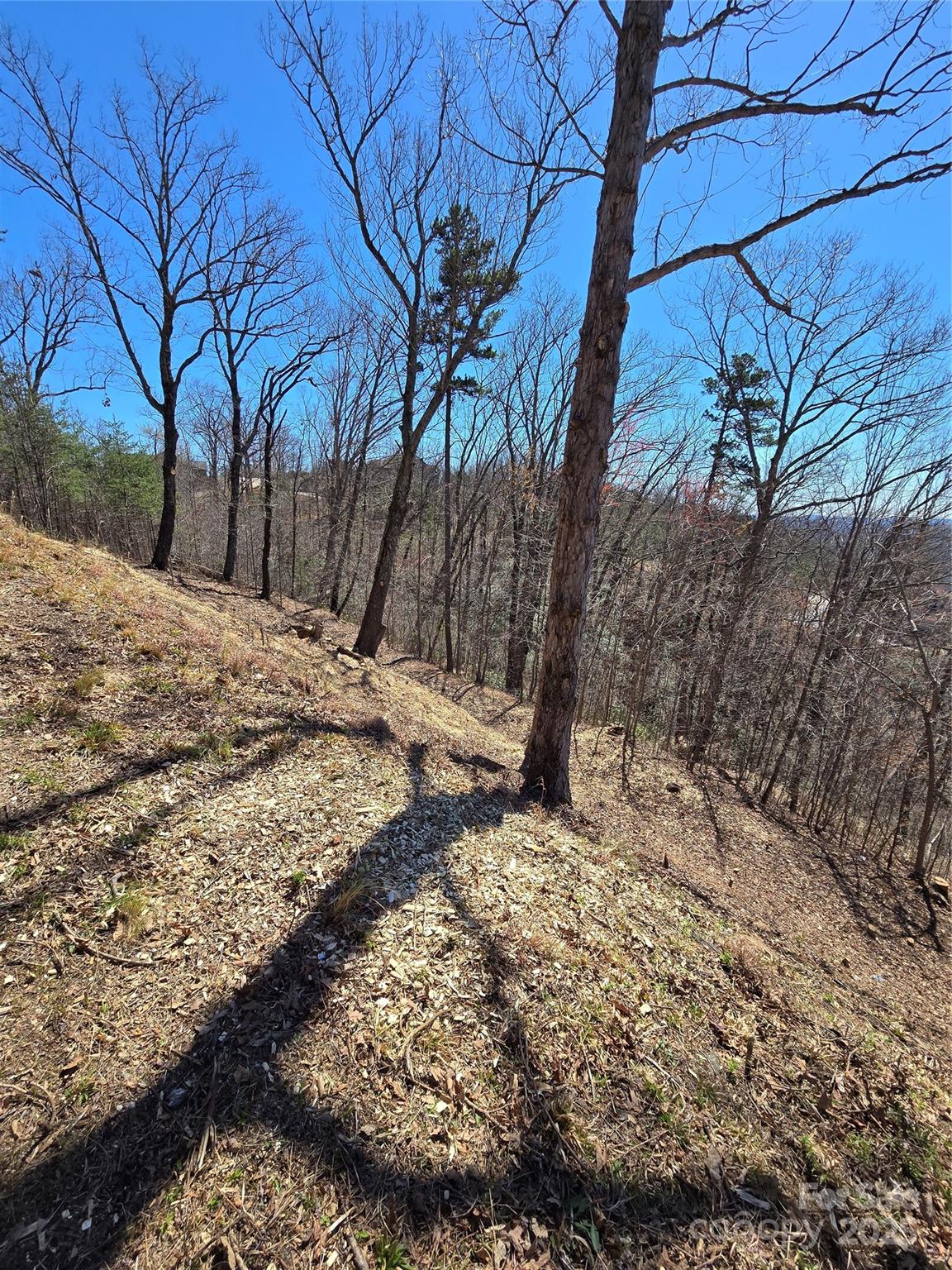 00 Golden Ridge Drive Lake Lure NC 28746